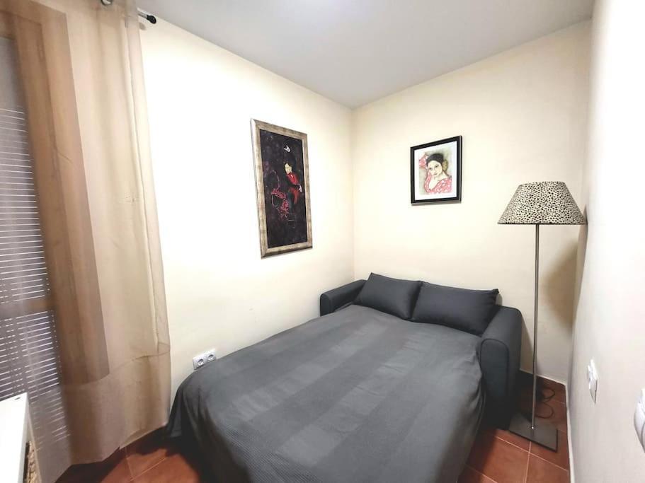 Flamenco, Apartamento Exclusivo De Dos Habitaciones En El Pleno Del Casco Antiguo, Alicante, Playa, Centro Historico, Rambla Exteriör bild